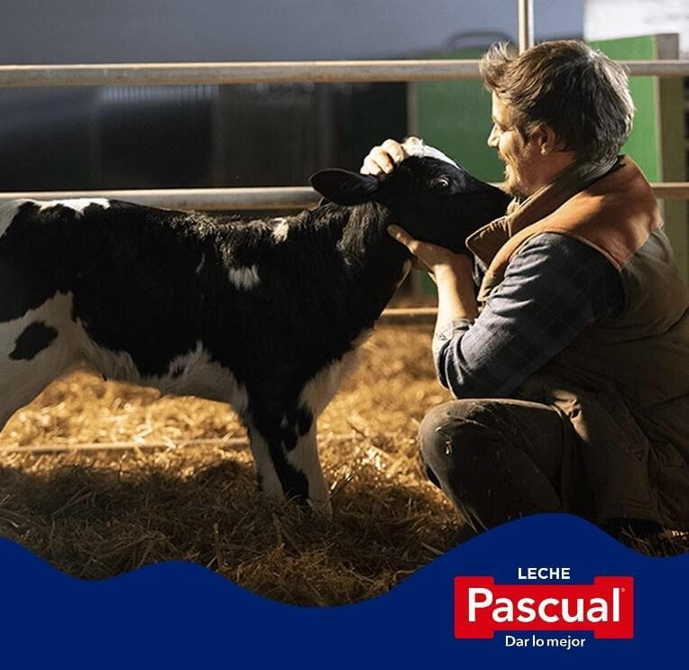 Pascual Leche Entera Clásica Pack 6 x 1L - Calidad y Sabor para tu Hogar y Negocio
